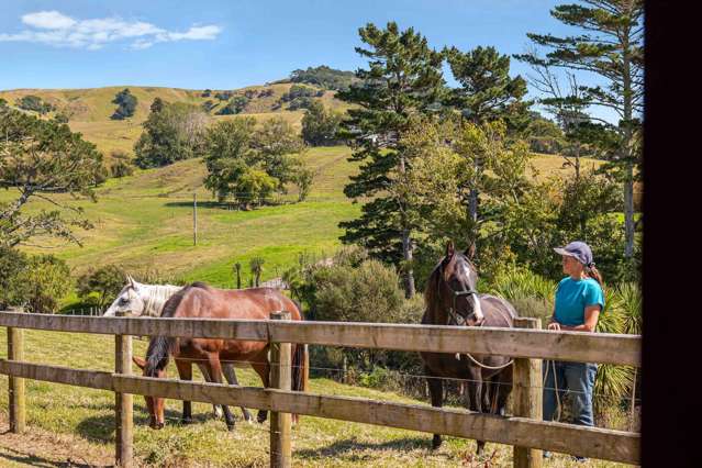 117 Worrall Road Kumeu_2