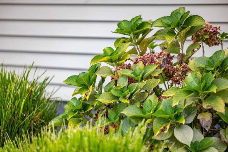 1054 Te Rahu Road Te Awamutu_21