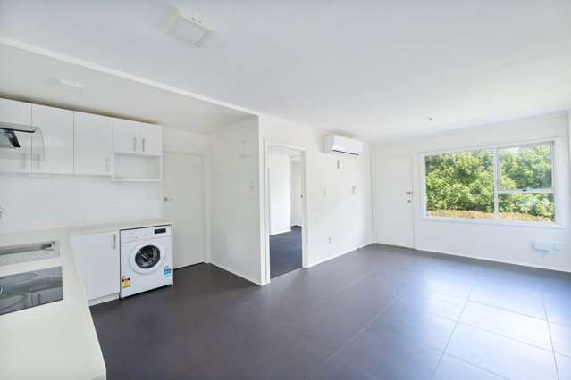 11/29 Fairview Road Mount Eden_1