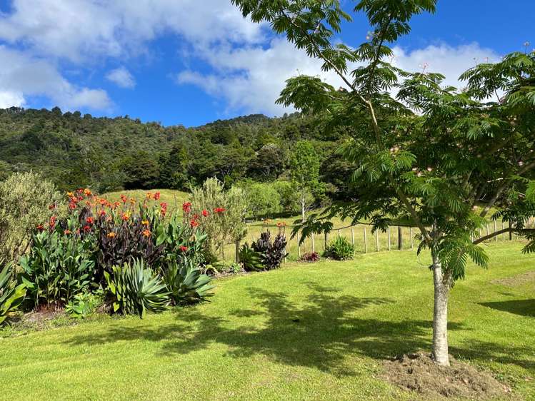 147 Omaha Valley Road Big Omaha_27