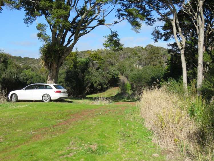 Pataua North Road Whareora_9