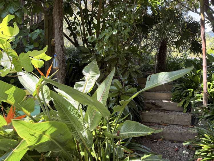 42 Tasman Heights Ahipara_19