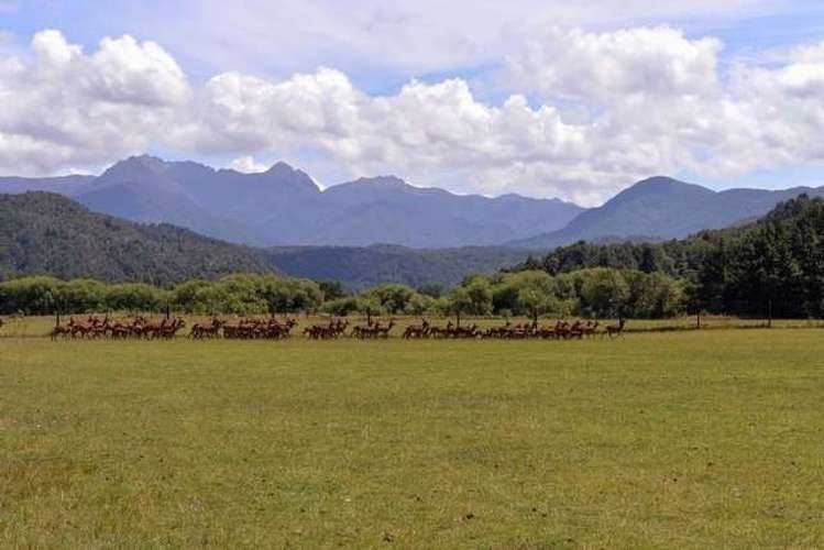 560 Shenandoah Highway Murchison_3