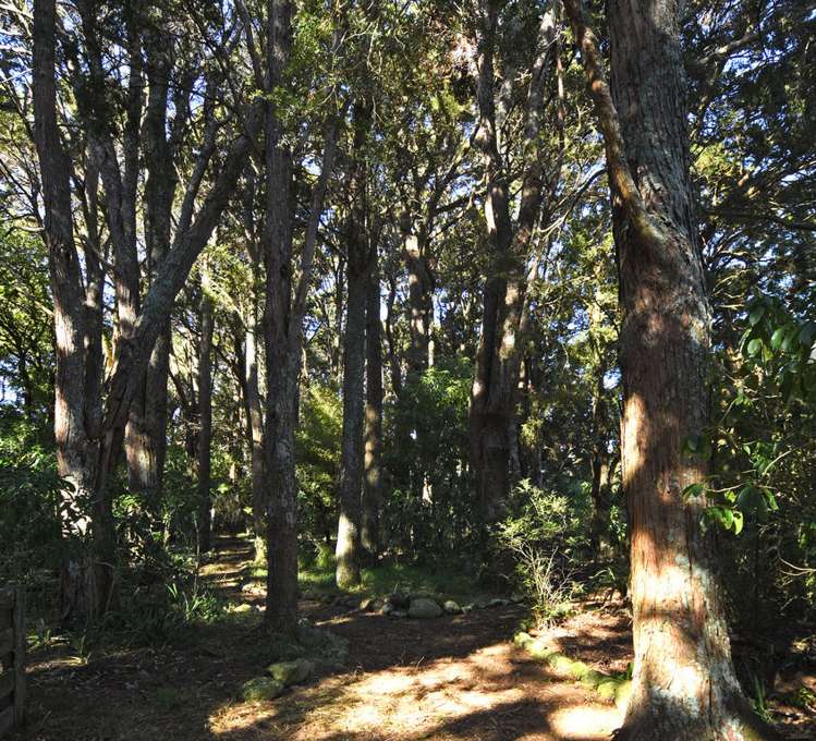 72b Woodside Road Woodside_15