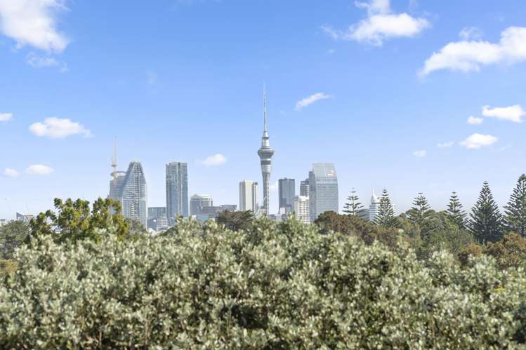 19 North Avenue Narrow Neck_13