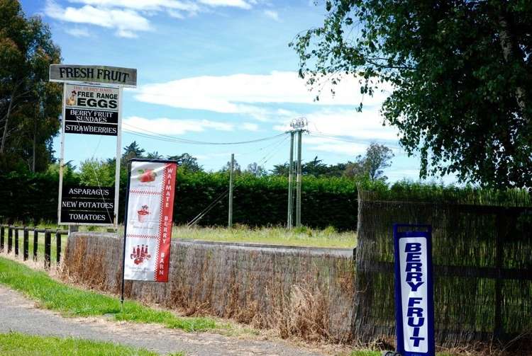 134 Timaru Road Waimate_19