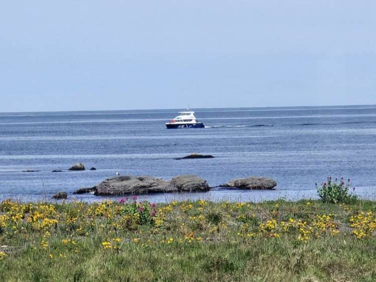 41 South Bay Parade Kaikoura_18