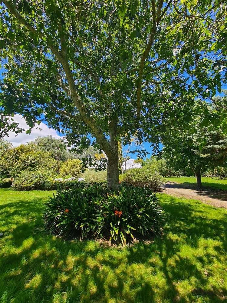 76 Riverland Road Kumeu_5