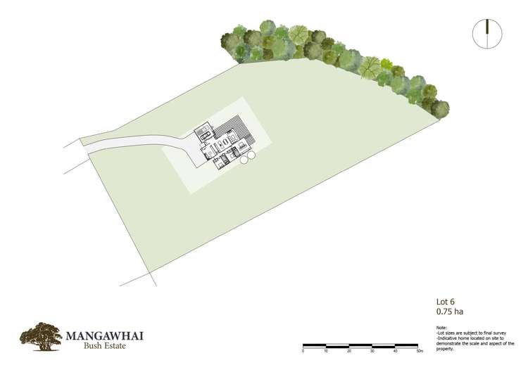 Mangawhai Bush Estate Mangawhai_17