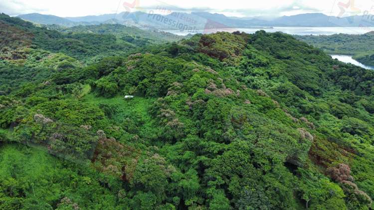 Address withheld Savusavu_12