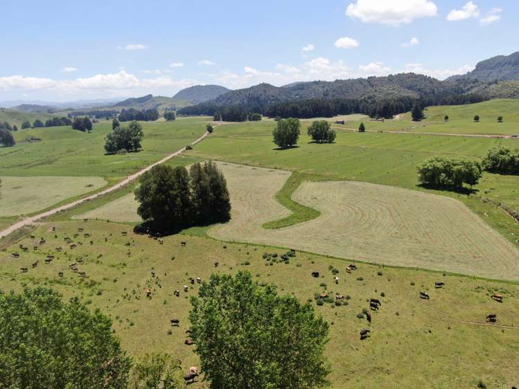 24 Pukeuha Road Aria_24