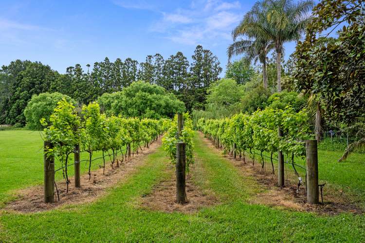 21 Mahoenui Valley Road Coatesville_4