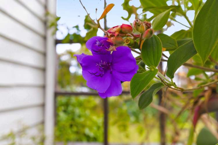 75 Liverpool Street Levin_29