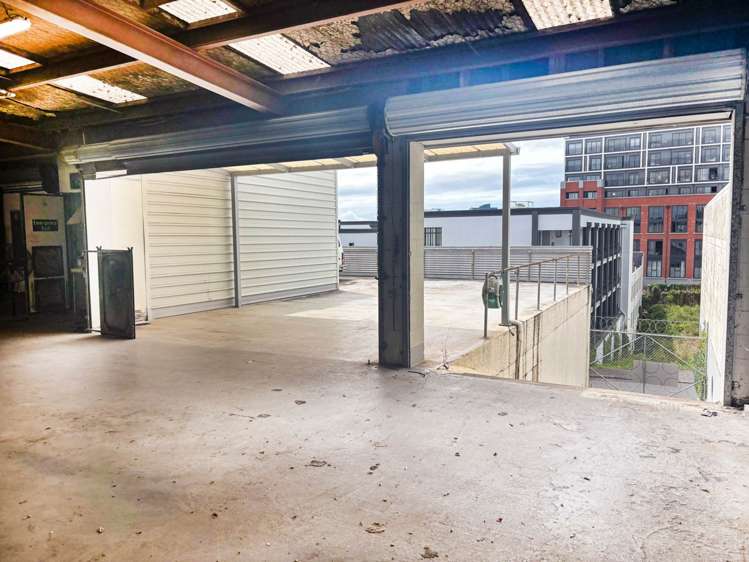 35 Randolph Street Eden Terrace_11