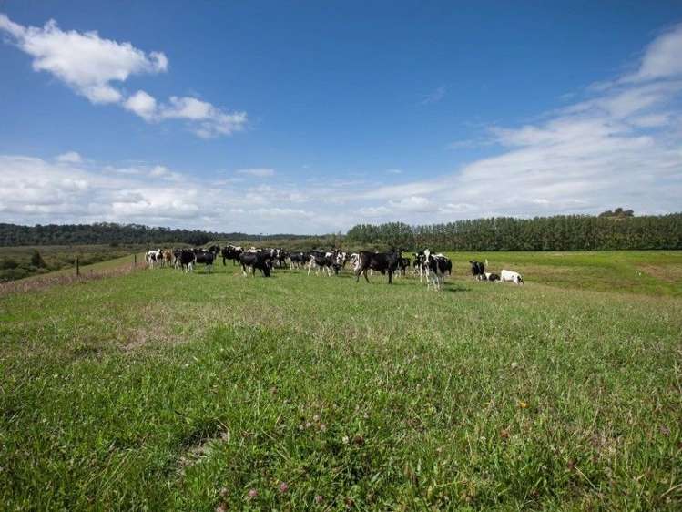 137 Sanson Road Ruawaro_33