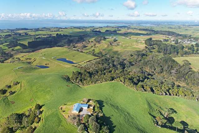 124 Kemp Road Awhitu_2