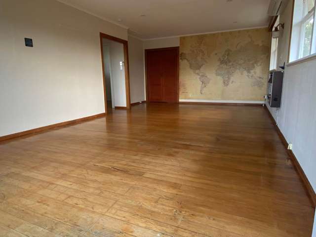 6a Eglinton Avenue Mount Eden_4