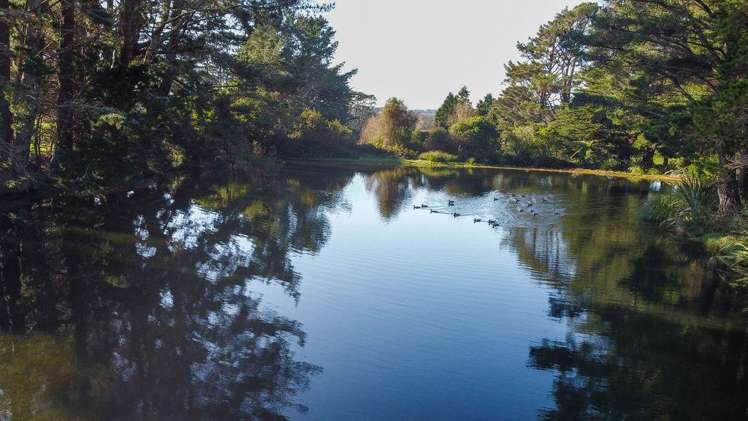 454 Parkville Road Eketahuna_18