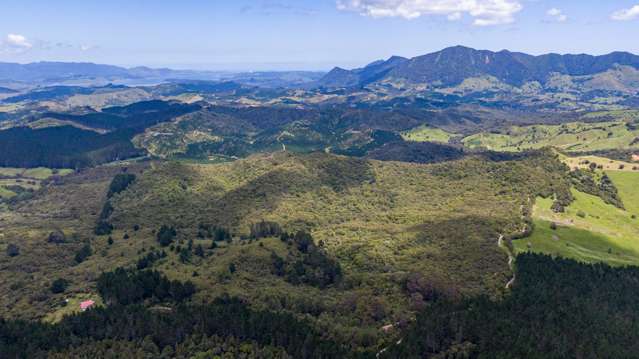 Sec 14-15 Whangape Track Road Broadwood_3