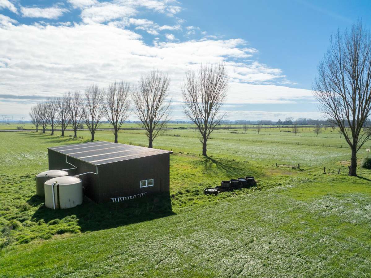 258 Holland Road_5