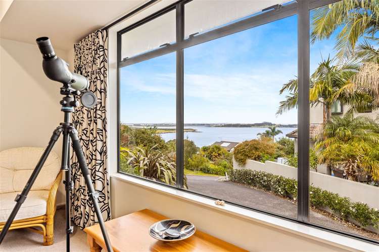 4 Rebecca Rise Hillsborough_9