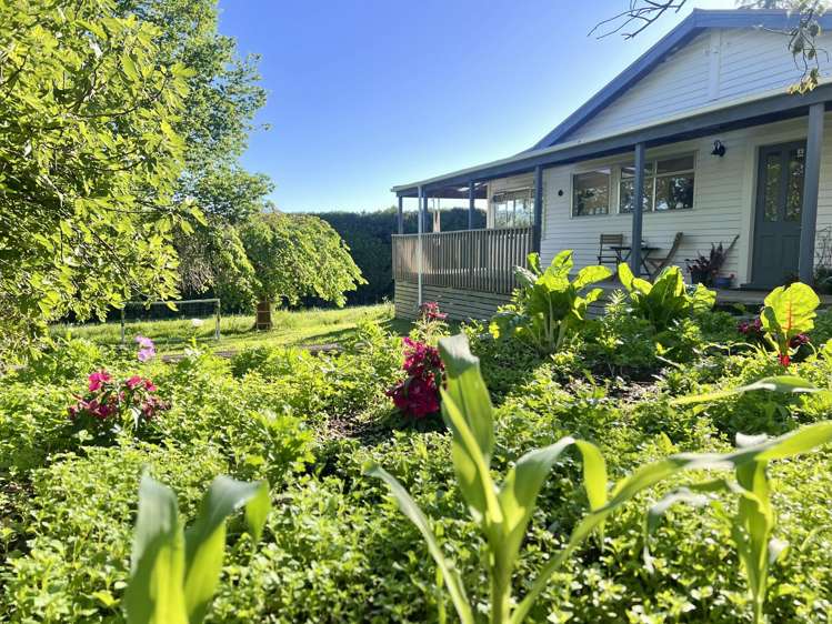 Lot Lot 2/1042 Rangiuru Road Te Puke_18