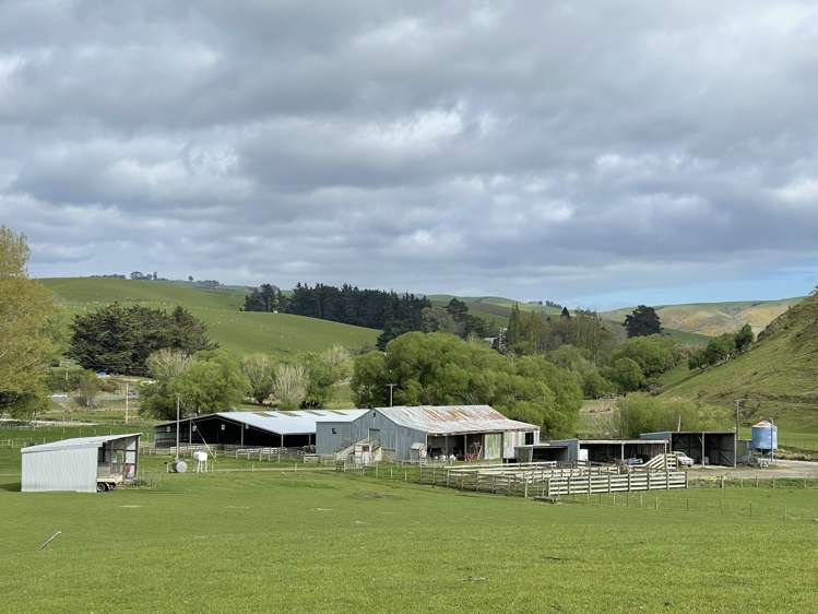 8 Munro Road Lawrence_15