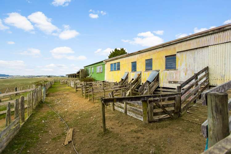 215 Allen And Eyre Road Onewhero_4