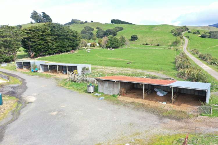 85289 State Highway 2 Eketahuna_13