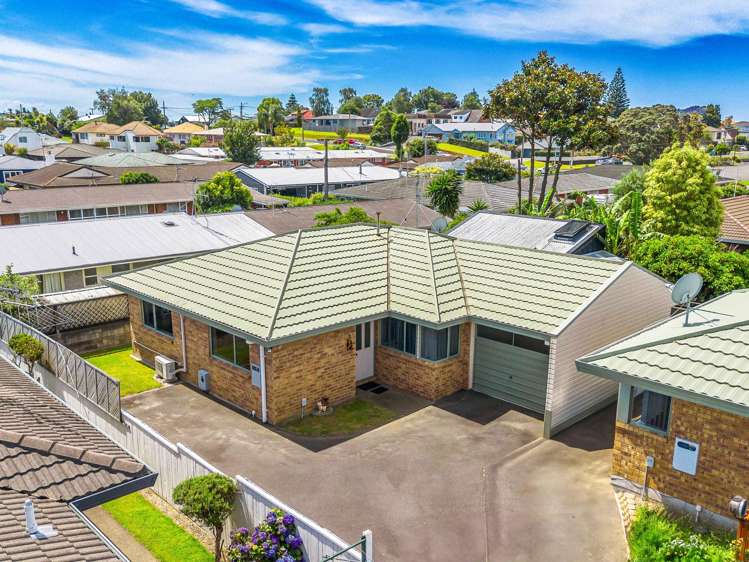 723C Cameron Road Tauranga South_19
