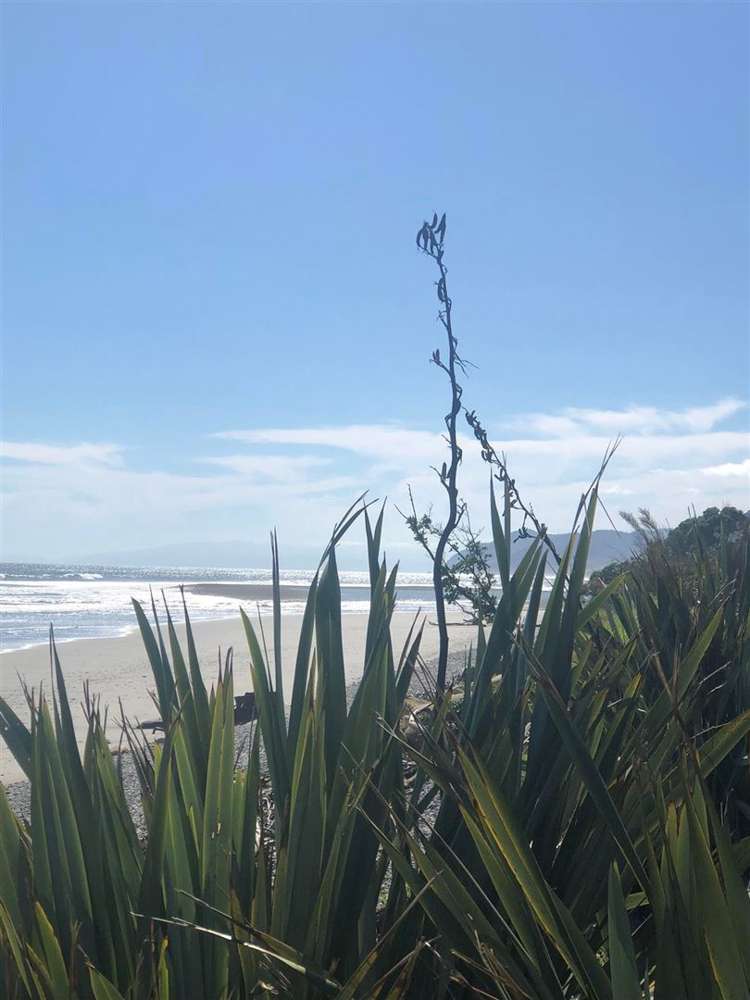 19 Main Road Hector_14