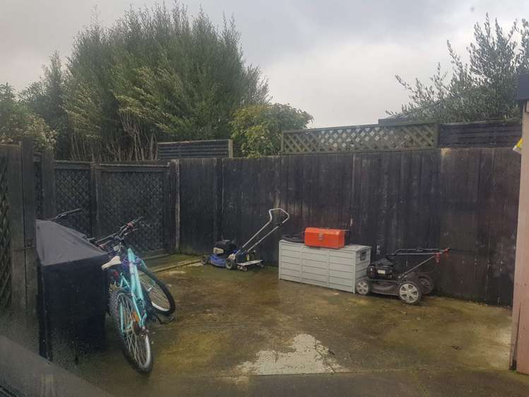 55 Lowry Avenue Redwood_25