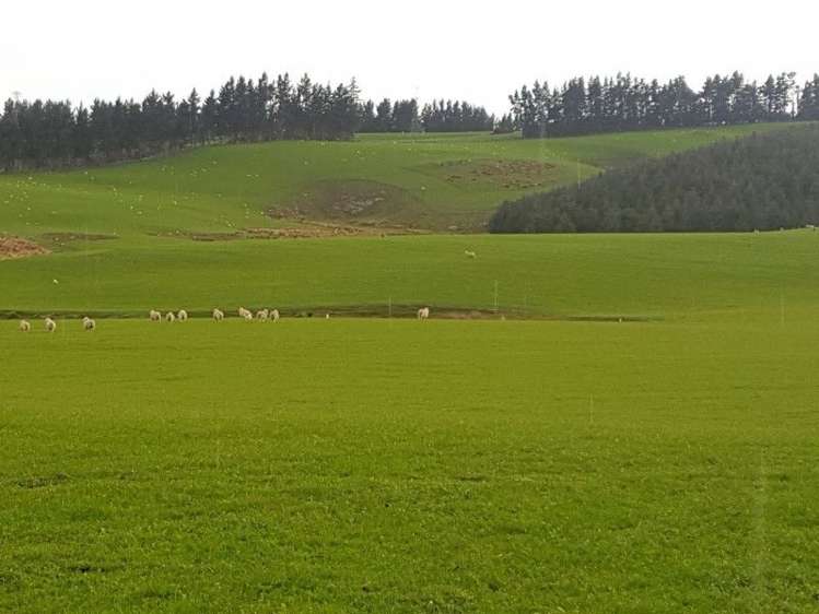 1680 Mahinerangi Road Waipori_34