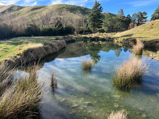 Lot 2/9 Tamaki East Road Dannevirke_3