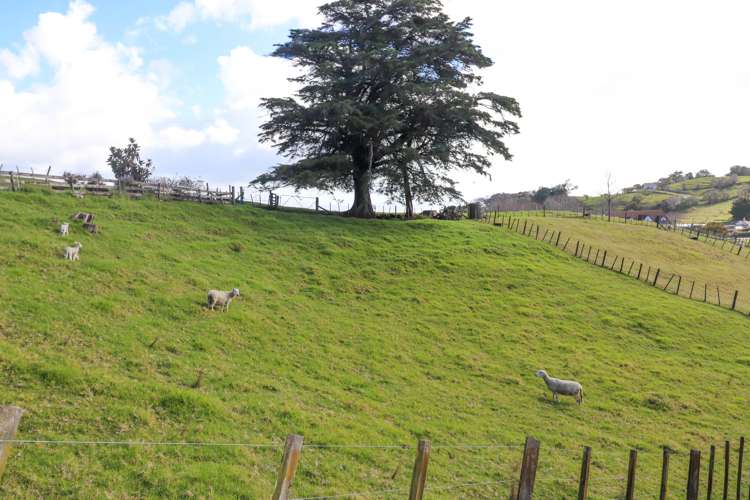 24b Sawmill Road Thames_19