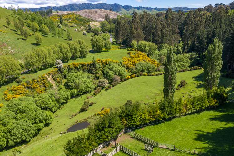 South Road Opunake_7