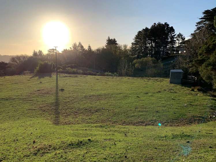 29 Warman Road Okura_8