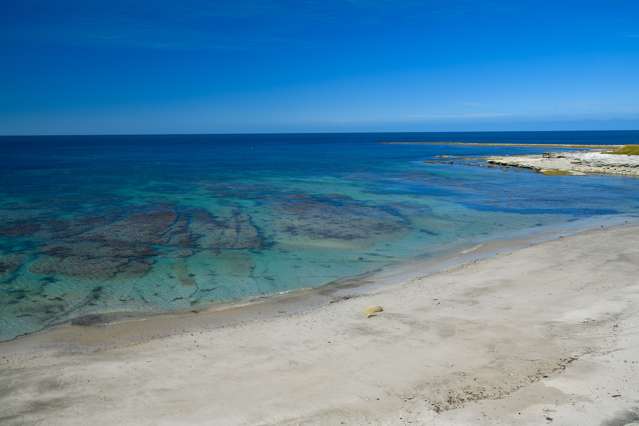 Lot 2 DP 389784, Lane/Parakiwai Road Mahia Peninsula_4