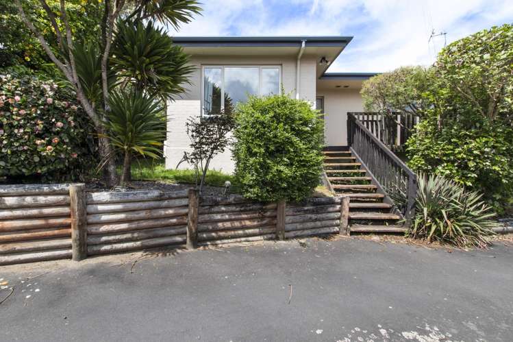 8 Alison Street Hamilton Lake_1