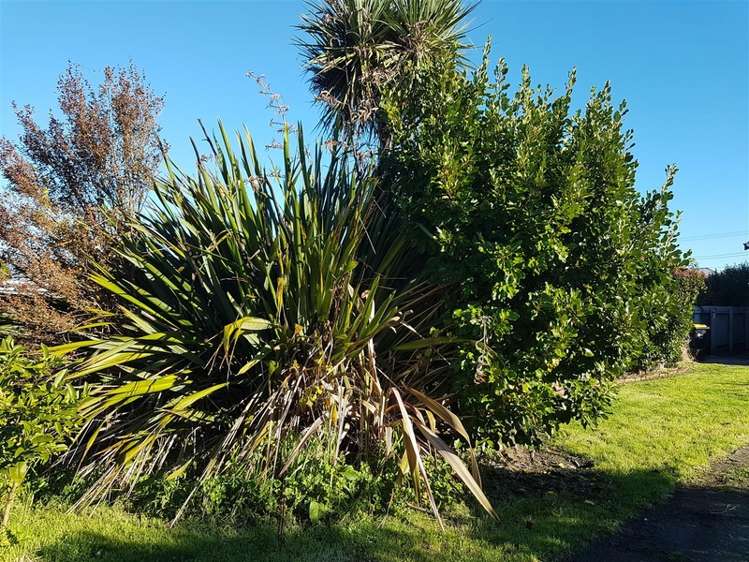 153 Romilly Street Westport_12