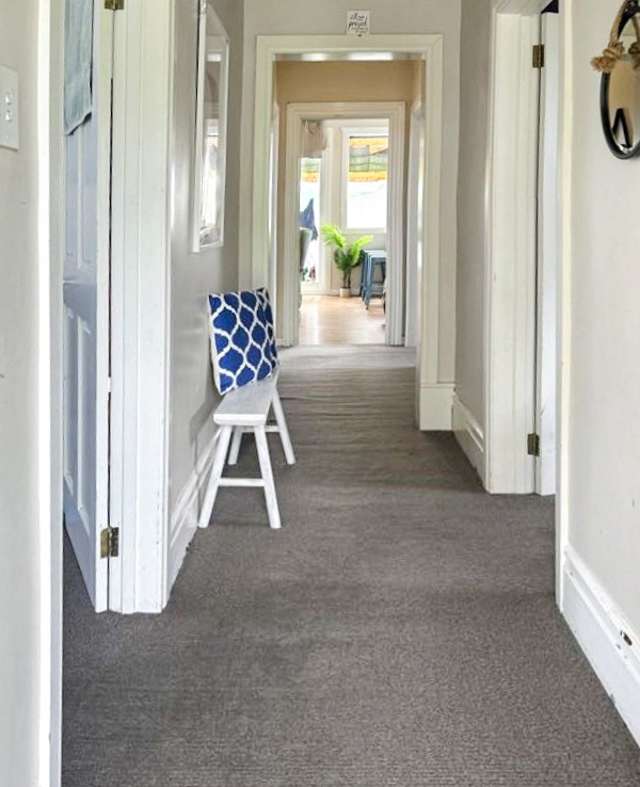 40 Swan Street 10993_1