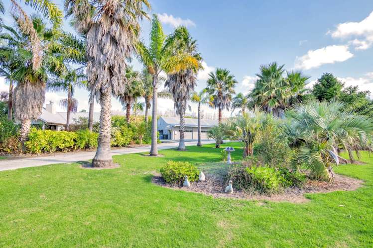 198a Devich Road Mangawhai_26