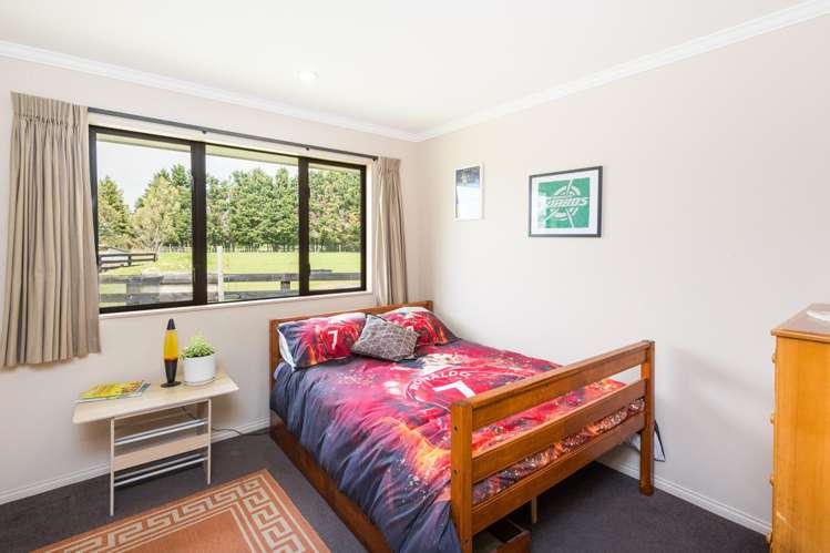 38B Grove Road Hiwinui_16