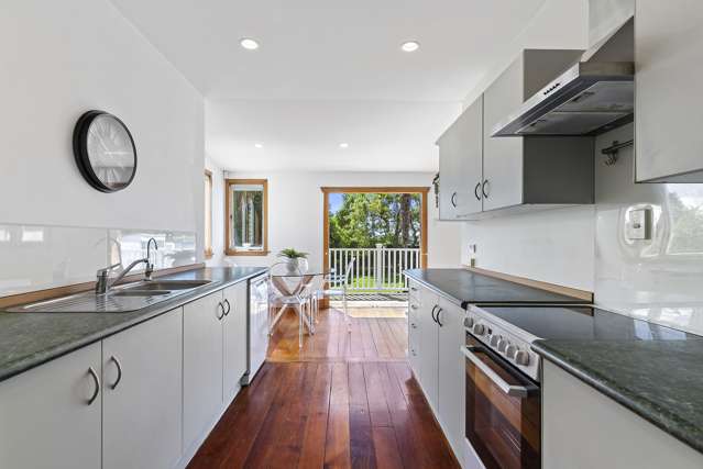 1 King Edward Street Mount Eden_2