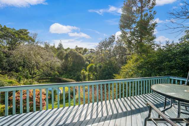 50 Queenstown Road Hillsborough_4