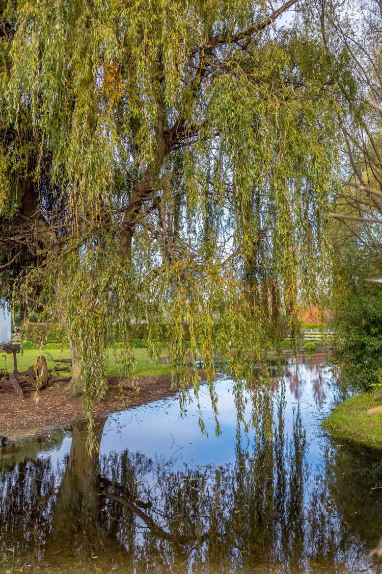 329 Manaia Road Masterton_19