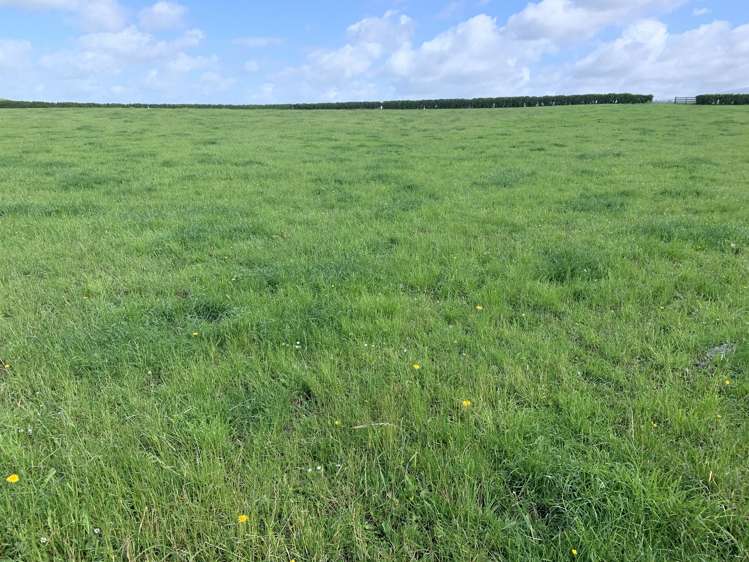 2372 Opunake Road Awatuna_0