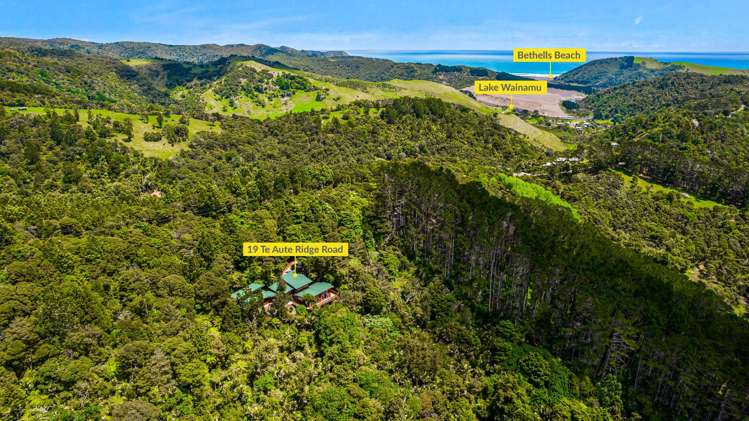 19 Te Aute Ridge Road Waitakere_38