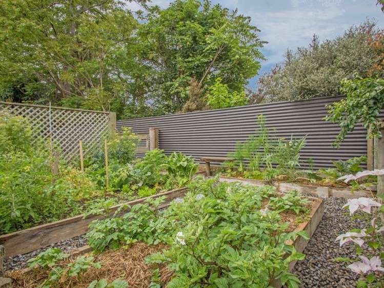 5 College Street Masterton_18