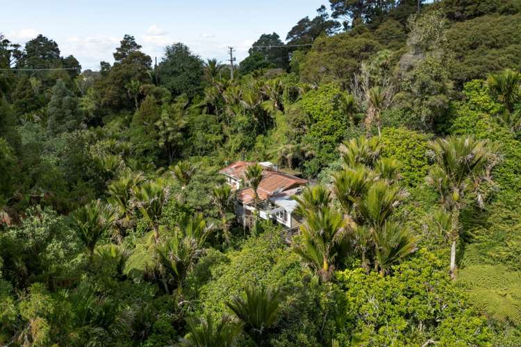 787 West Coast Road Oratia_2